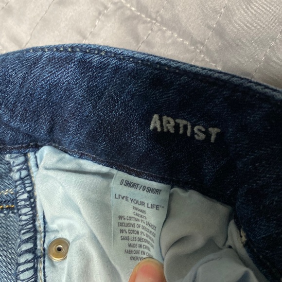 AE Artist - Picture 3 of 5